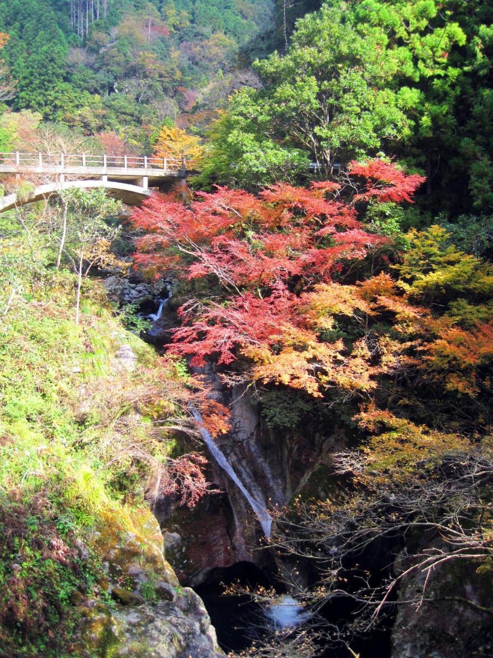 Nature Resort In Niyodo Niyodogawa Exterior photo